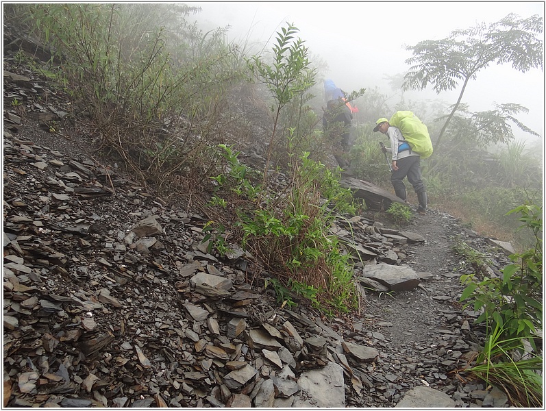 2015-04-10 12-20-30往舊登山口前進.JPG